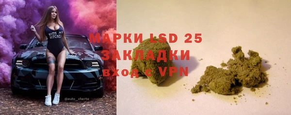 эйфоретик Богданович