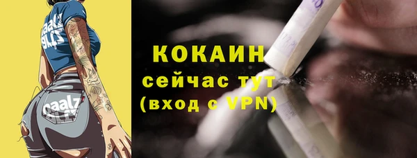 эйфоретик Богданович