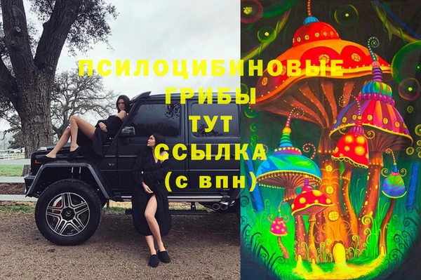 эйфоретик Богданович