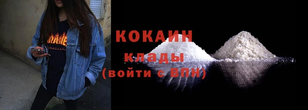 эйфоретик Богданович