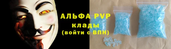 СК Богородск