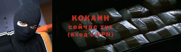 эйфоретик Богданович