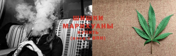эйфоретик Богданович