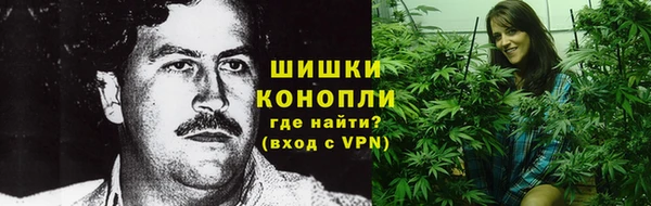 эйфоретик Богданович
