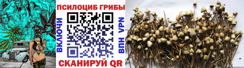 Псилоцибиновые грибы прущие грибы  Купить где  Армянск 